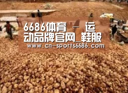 种植基地二