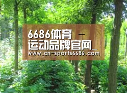 种植基地九