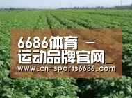 种植基地五(图1)