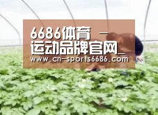 种植基地三
