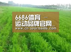 种植基地四