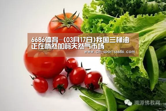 6686体育-(03月17日)我国三桶油正在悄然加码天然气市场(图1)